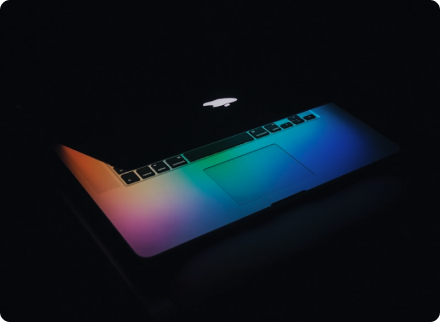 Web Development & CMS Platforms